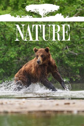Nature - Poster