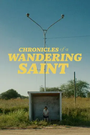 Crónicas de una santa errante - Poster