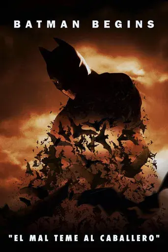 Batman Begins - Poster