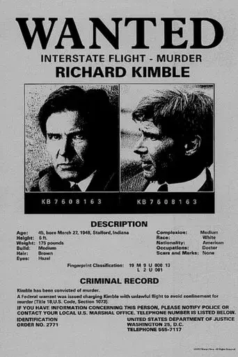 El fugitivo - Poster