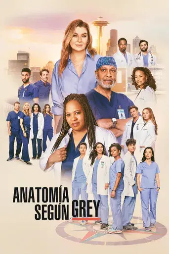 Anatomía de Grey - Poster