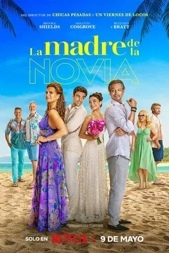 La madre de la novia - Poster