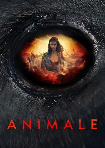 Animale - Poster