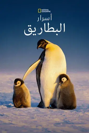 Los secretos de los pingüinos - Poster