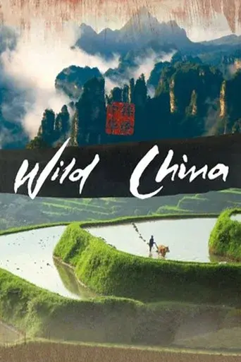 China Salvaje - Poster