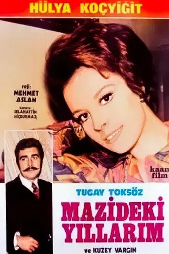 Yaralı Kuş - Poster