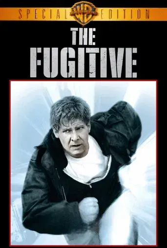 El fugitivo - Poster