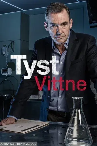 Testigo mudo - Poster