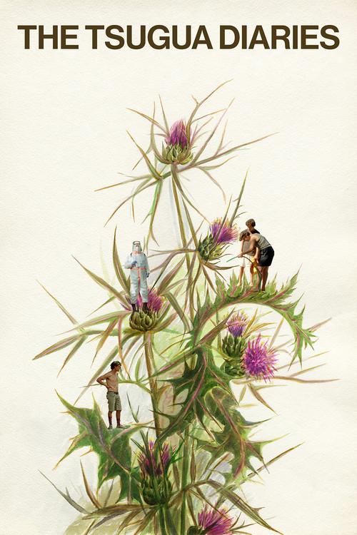 Diários de Otsoga poster