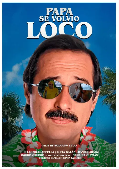 Papá se volvió loco poster