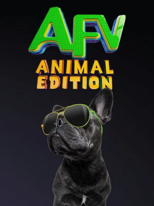 America's Funniest Home Videos: Animal Edition poster