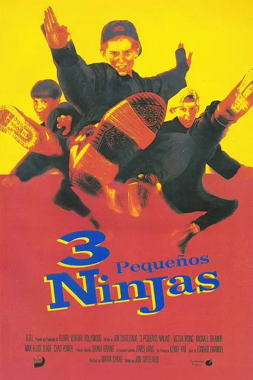 3 Ninjas