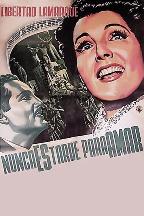 Nunca es tarde para amar poster