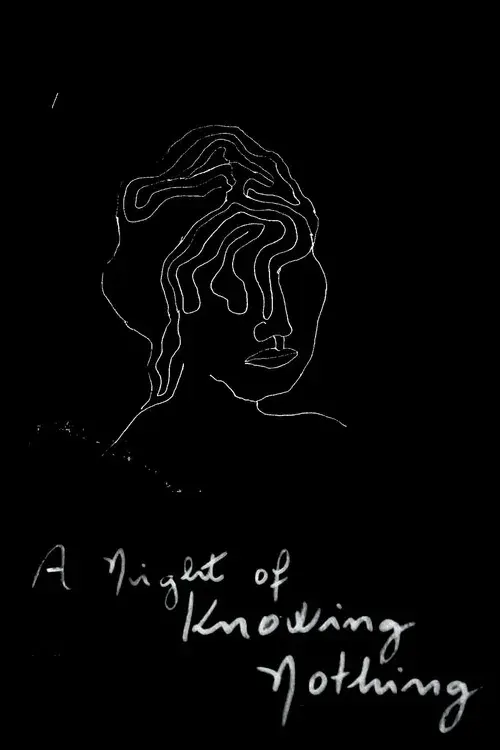 Una noche sin saber nada poster