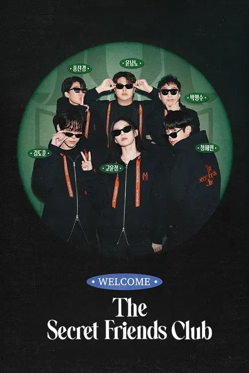 The Secret Friends Club poster