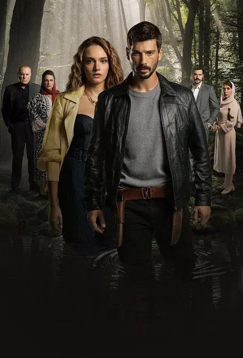 Amar Sin Limites poster