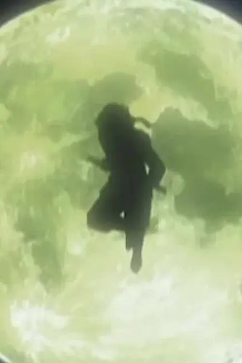 Shinshaku Sengoku Eiyuu Densetsu Sanada Juu Yuushi The Animation