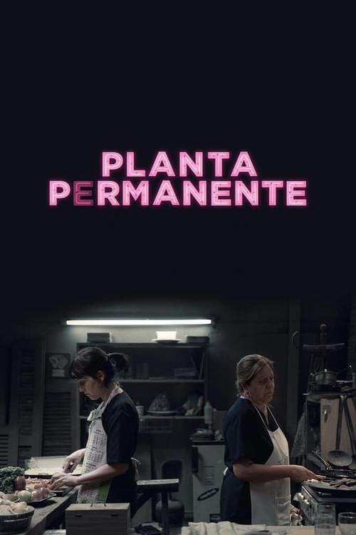 Planta permanente poster