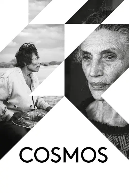 Cosmos poster