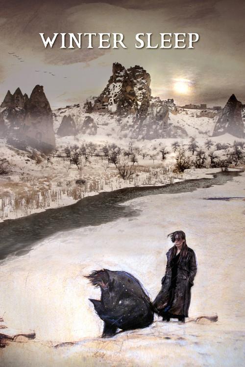 Winter Sleep (Sueño de invierno) poster