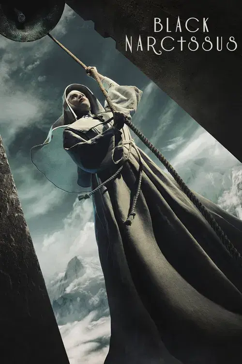 Narciso negro poster