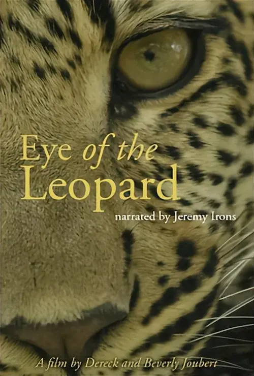 Eye of the Leopard