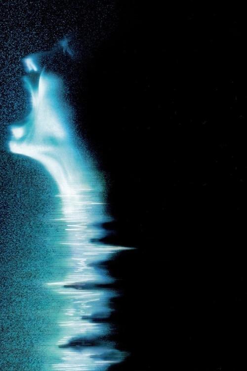 White Noise: Más allá