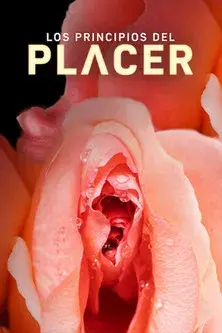 Los principios del placer poster