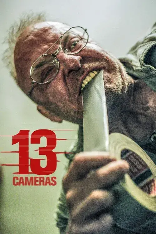 13 Cámaras