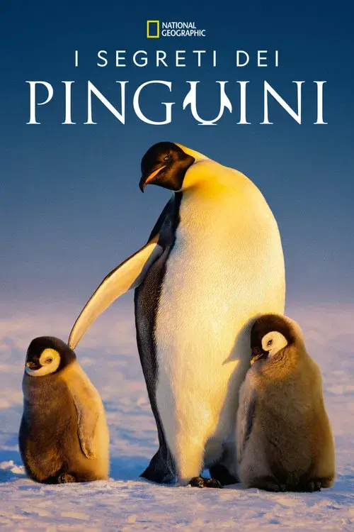 Los secretos de los pingüinos poster