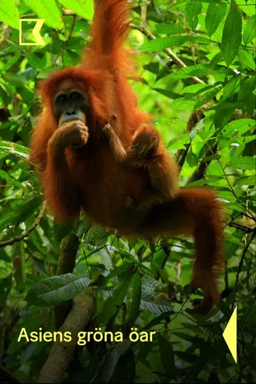 Islands in Time: A Wildlife Odyssey