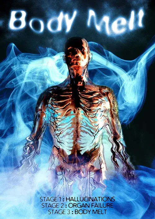 Body Melt poster