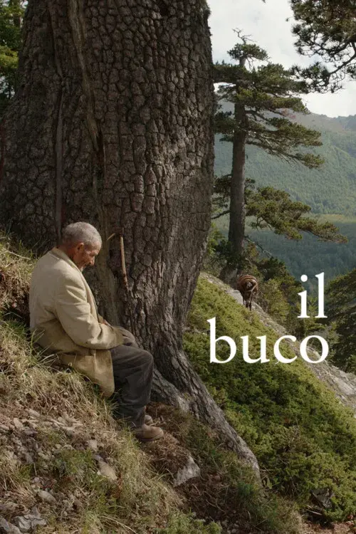Il buco poster