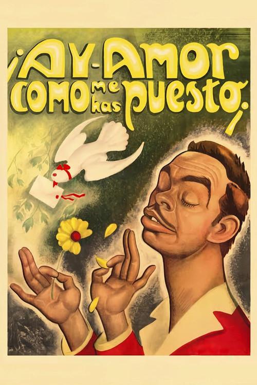 ¡Ay, amor... cómo me has puesto!
