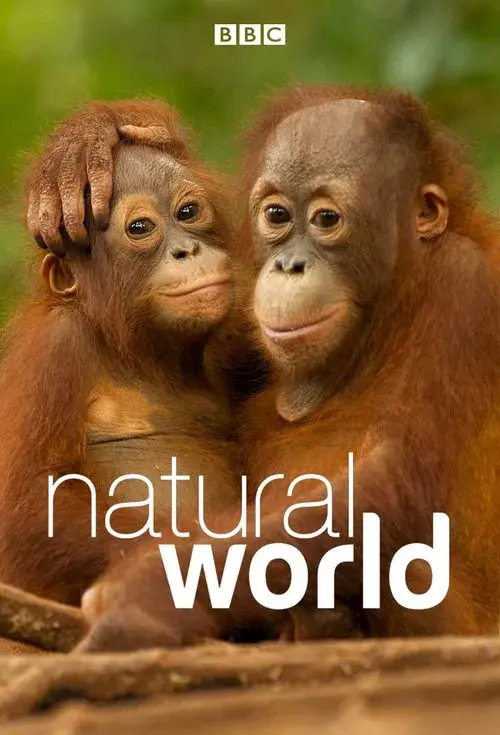 Mundo Natural poster