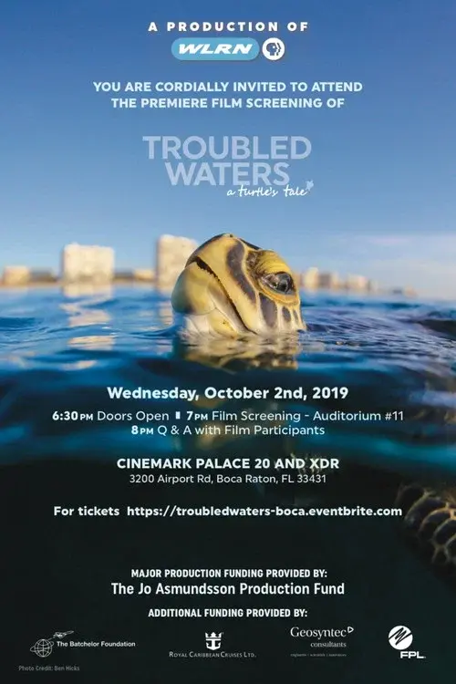 Troubled Waters: A Turtle's Tale