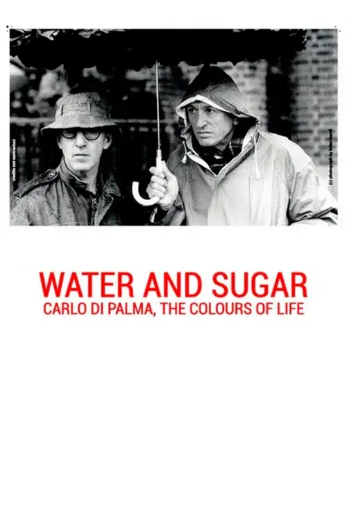 Acqua e zucchero – Carlo Di Palma: i colori della vita