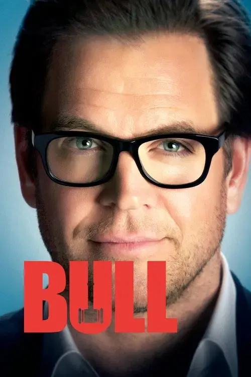 Bull poster