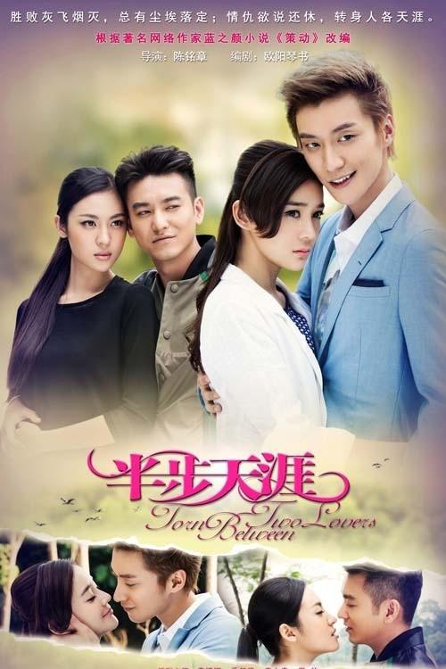 Torn Between Two Lovers