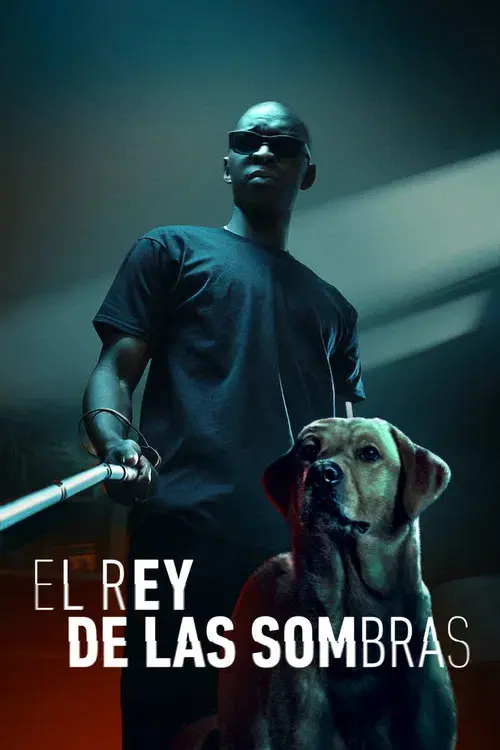El rey de las sombras poster
