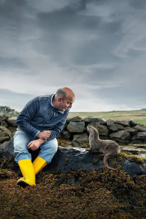 Billy & Molly: An Otter Love Story poster