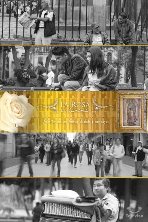 La rosa de Guadalupe