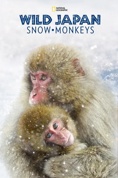 Wild Japón: monos de la nieve
