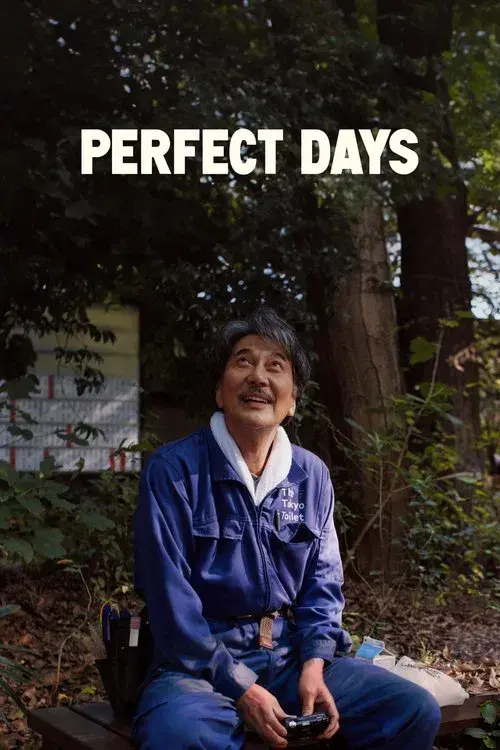 Días Perfectos poster