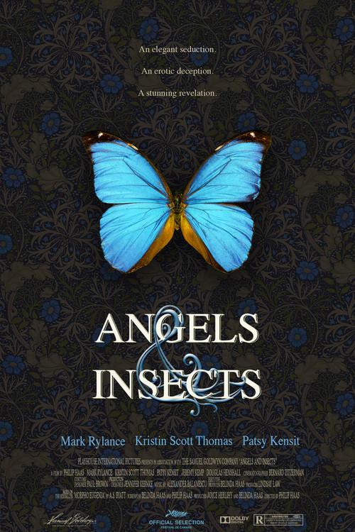 Angels and Insects