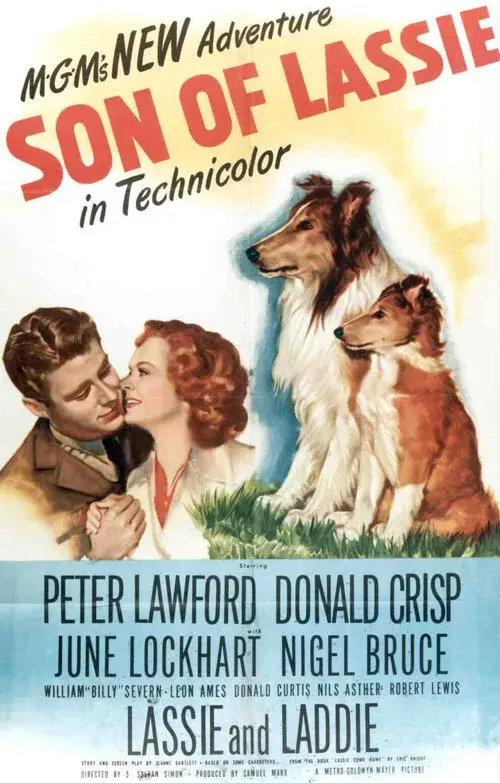 El cachorro de Lassie