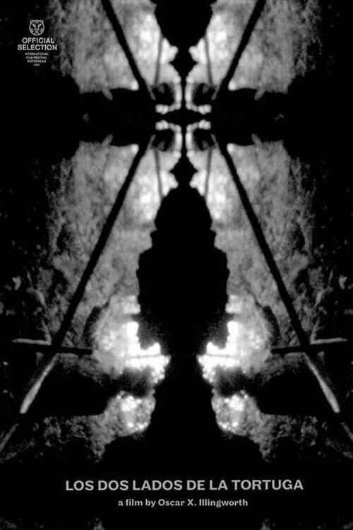 Los dos lados de la tortuga poster