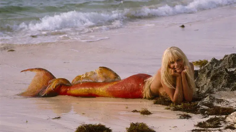 1, 2, 3... Splash - Fondo