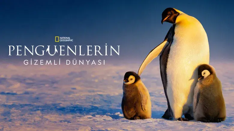 Los secretos de los pingüinos - Fondo