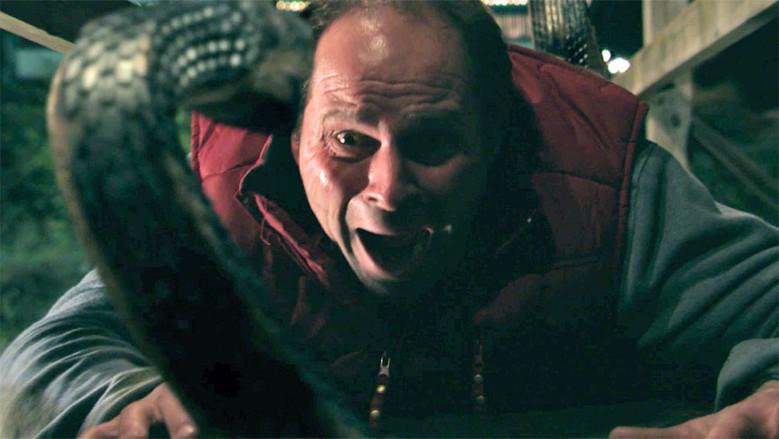 Víboras asesinas - Fondo